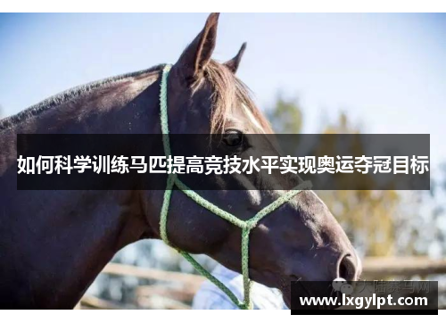 如何科学训练马匹提高竞技水平实现奥运夺冠目标
