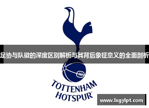 足协与队徽的深度区别解析与其背后象征意义的全面剖析